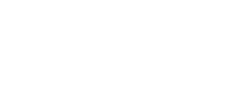 Vanda Boavida