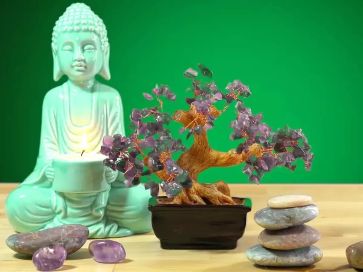 Casas arborizadas e a energia do Feng Shui: quando a natureza equilibra o lar